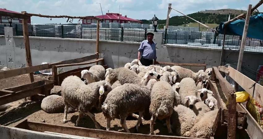 Kurban Bayramı'na girilirken uzmanlar, kesim sonrasında et tüketiminin sakıncalarına değinerek,