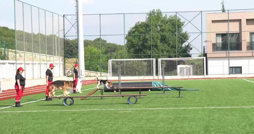 Çekmeköy Belediyesi ev sahipliğinde gerçekleşen 2025 FCI Uluslararası Arama Kurtarma