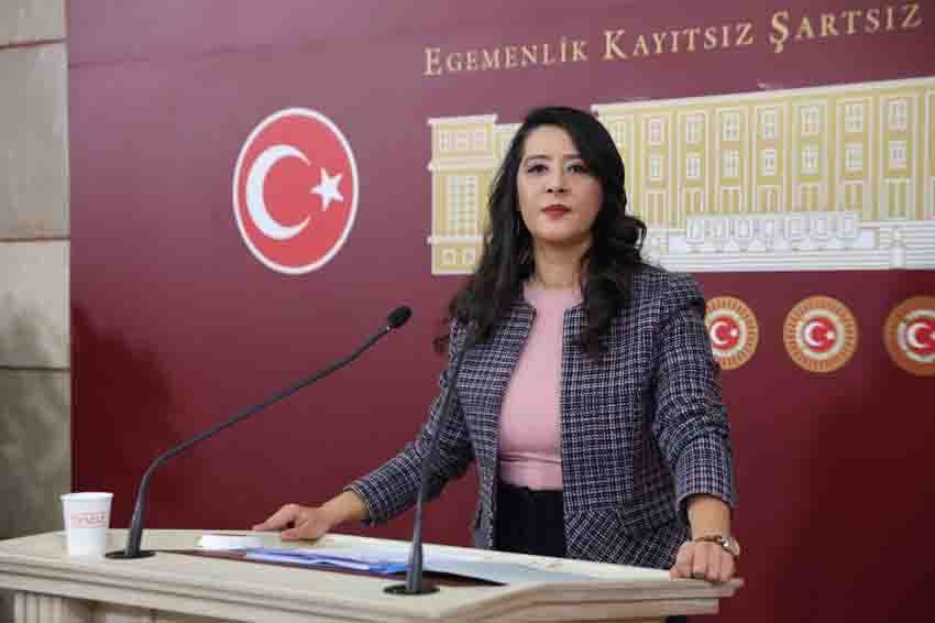 Emek Partisi (EMEP) Gaziantep Milletvekili Sevda Karaca, Milli Eğitim Bakanlığının
