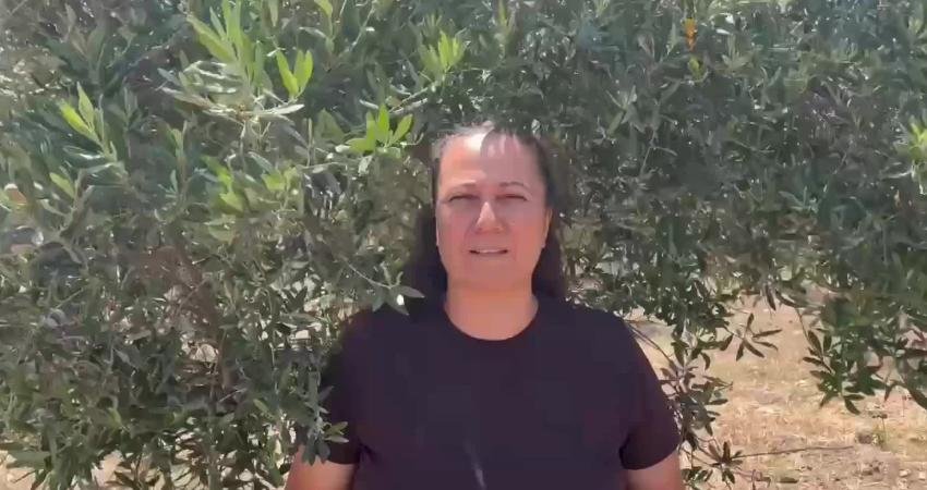 Muğla İkizköy halkı, Meclis Başkanlığı’na sunulan, enerji ve maden alanlarında