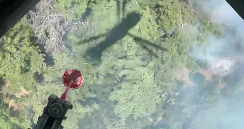 Aydın'ın Germencik ilçesi yakınlarında orman yangını çıktı. Yangın, havadan ve karadan