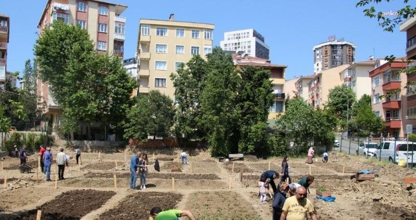 İstanbul Büyükşehir Belediyesi’nin (İBB), 2022’de başlattığı “Halk Bostanları” projesi kapsamında Kartal ve