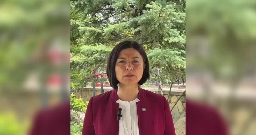 İYİ Parti Genel Başkan Yardımcısı Kevser Ofluoğlu, "Düşük gelir, yüksek