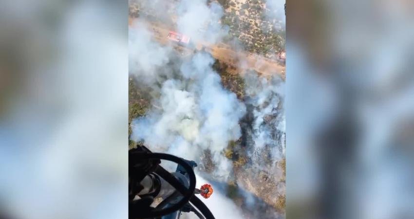 İzmir ili Foça ilçesi Gözde Kent mevkiinde , ormanlık alanda