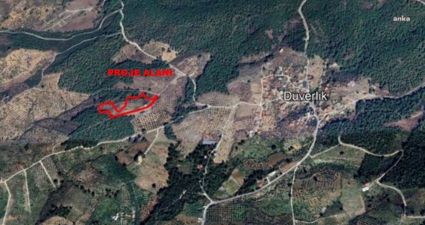 İzmir'in Torbalı ilçesinde bir kişinin, "zeytinlik" alanda yapmak istediği define