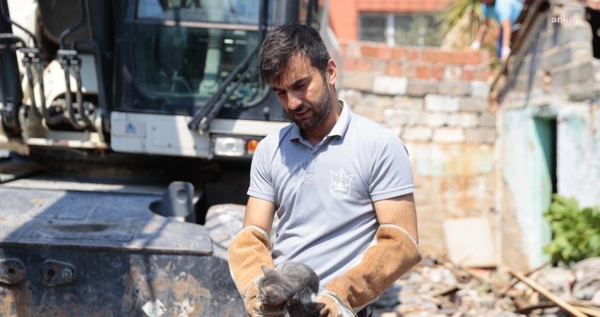Konak Belediyesi'nin metruk bina yıkım çalışması sırasında, bina içinde saklandıklarını