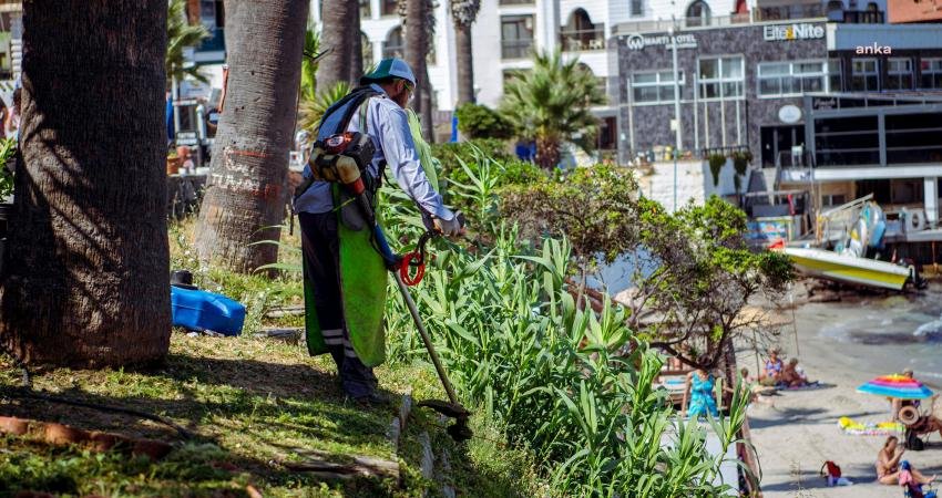 Kuşadası Belediyesi, Kadınlar Denizi sahil şeridinde peyzaj ve çevre düzenlemesi