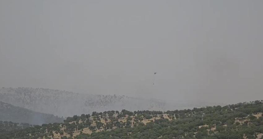 Mardin’in Mazıdağı ilçesi kırsalında çıkan orman yangınına havadan ve karadan