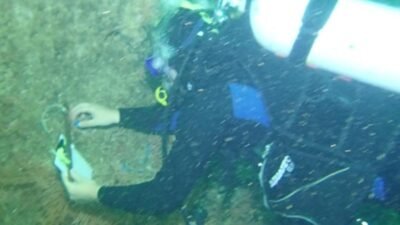 2024 ilkbaharından itibaren yeniden yüzeyde görülmeye başlayan deniz salyası (müsilaj),