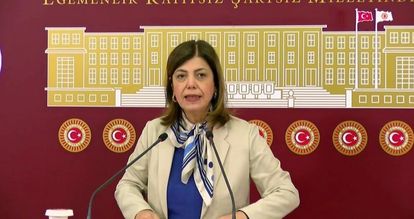DEM Parti Erzurum Milletvekili Meral Danış Beştaş, Cumhurbaşkanı Recep Tayyip Erdoğan'ın