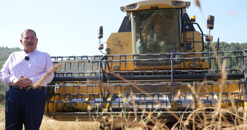 Milas Belediyesi, Köşk Mahallesi’nde daha önce ekimini yaptığı karakılçık buğdayının