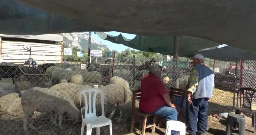 Milas Ören'deki kurban pazarında iş yapamadıklarını, satışların iyi olmadığını söyleyen