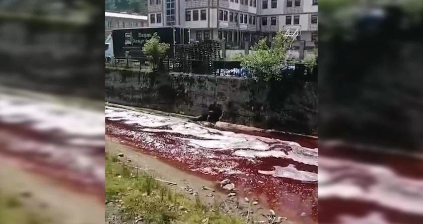 Rize Merkez Çiftekavak Mahallesi'ndeki mezbahada Kurban Bayramı ibadetini yerine getiren