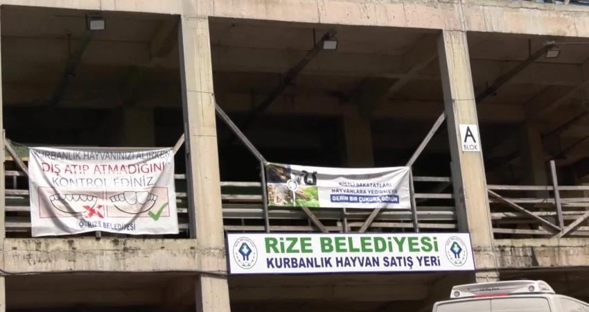 Rize Hayvan Pazarı’nda Kurban Bayramı’nda beklenen satışlar gerçekleşmedi. Besiciler, Diyanet