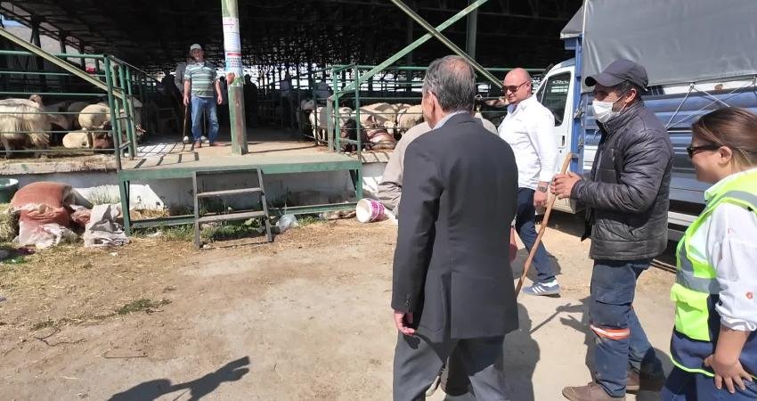 Tepebaşı Belediye Başkanı Ahmet Ataç, Kurban Bayramı öncesi hayvan pazarını