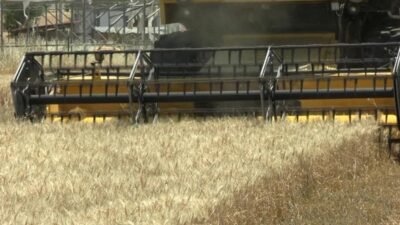 Diyarbakır Yenişehir Ziraat Odası Başkanı Süleyman İskenderoğlu, Toprak Mahsulleri Ofisi