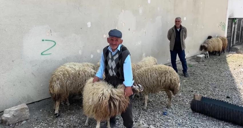 Van İpekyolu ilçesinde kurulan kurban pazarında bayramın ikinci gününde hareketli