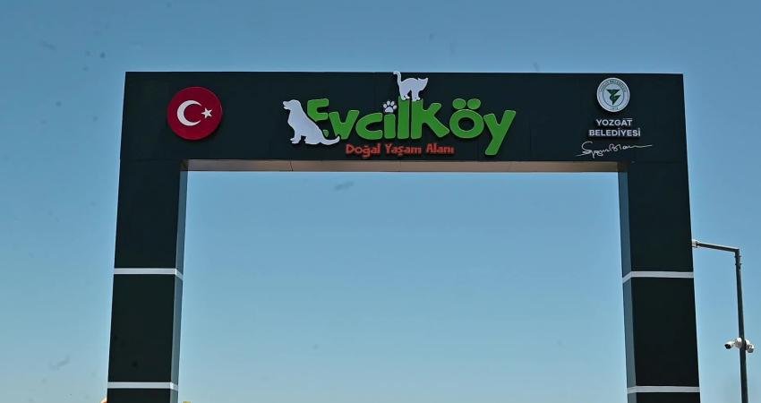 Yozgat Belediyesi’nin milli park çamlık eteklerinde 25 dönümlük alan üzerinde