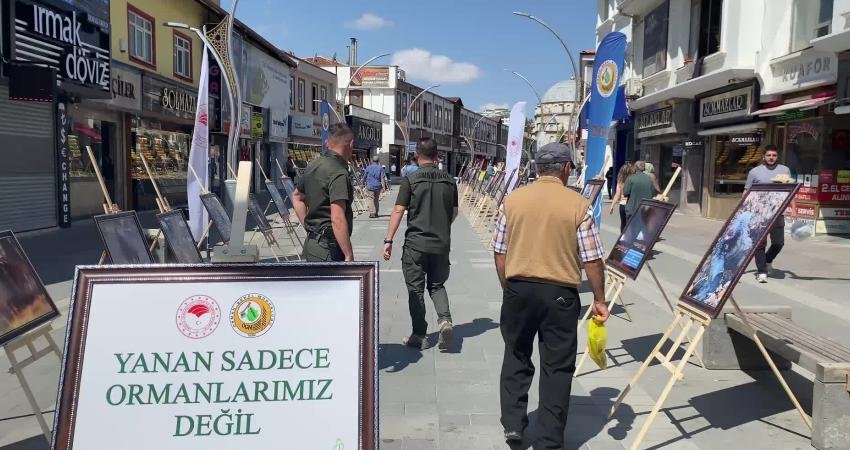 Yurdun farklı bölgelerinde çıkan orman yangınlarında, ağaçlarla birlikte yaşamlarını kaybeden