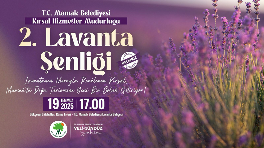 Mamak Belediyesi’nin Gökçeyurt Mahallesi’nde kurduğu lavanta bahçesi, bu yıl ikinci