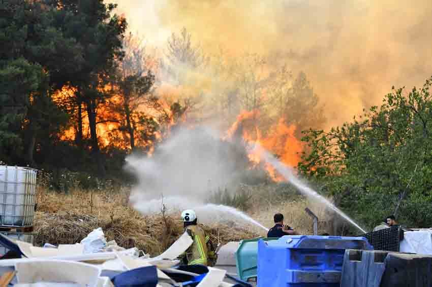 İzmir Büyükşehir Belediyesi İtfaiye Dairesi Başkanlığı ekipleri, Bornova Gökdere Mahallesi