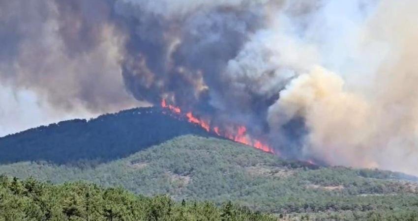 Bursa'nın Harmancık ilçesinde dün kontrol altına alınan orman yangını, bugün