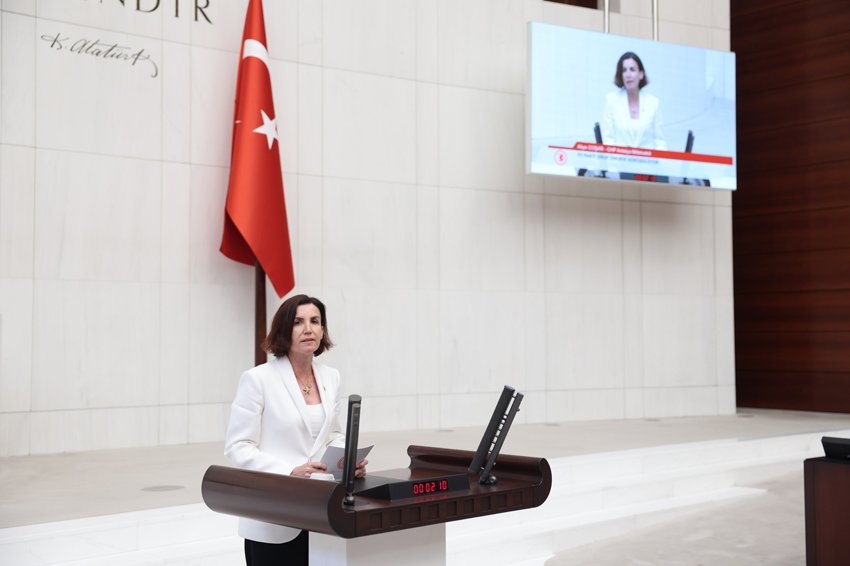Cumhuriyet Halk Partisi Antalya Milletvekili Aliye Coşar, Kültür ve Turizm