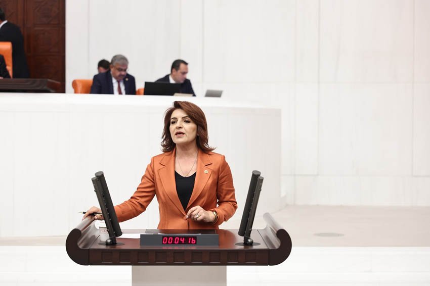 Cumhuriyet Halk Partisi (CHP) Mersin Milletvekili Gülcan Kış’ın, Türkiye Gençlik