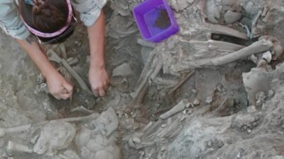 Çanakkale'nin Gökçeada ilçesindeki Uğurlu-Zeytinlik Höyüğü'nde 15 yılı aşkın süredir süren