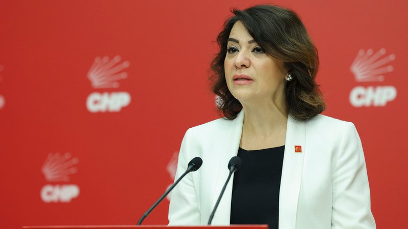 Gamze Taşcıer: “Her yangın mevsiminde aynı acıyı yaşıyoruz” CHP Genel Başkan Yardımcısı Gamze Taşcıer, Eskişehir’in Seyitgazi ilçesinde çıkan