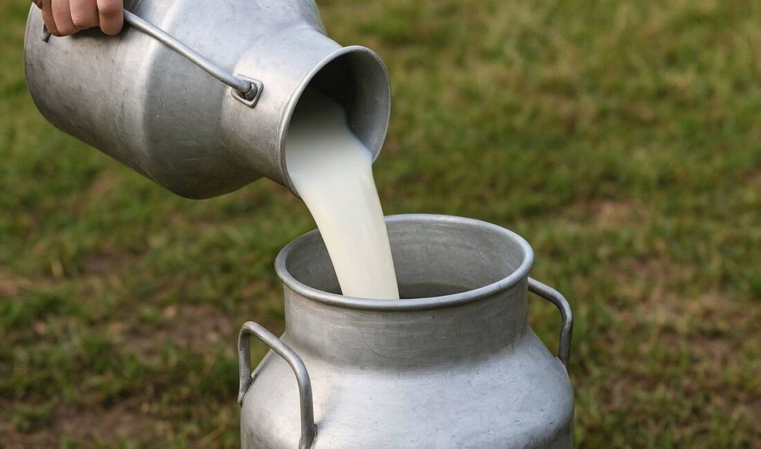 Türkiye İstatistik Kurumu'nun (TÜİK) Süt ve Süt Ürünleri Üretimi verilerine