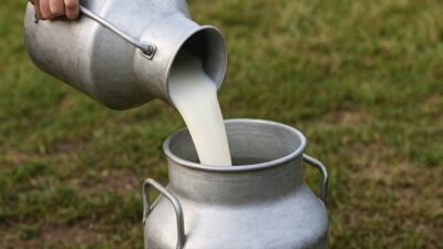 Türkiye İstatistik Kurumu'nun (TÜİK) Süt ve Süt Ürünleri Üretimi verilerine