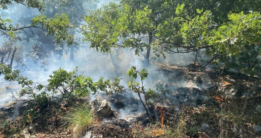 Osmaniye’nin Düziçi ilçesine bağlı Farsak köyü sınırları içerisinde bulunan Alıç