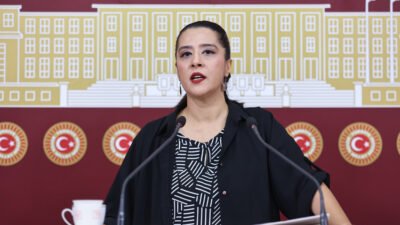 Emek Partisi (EMEP) Gaziantep Milletvekili Sevda Karaca, LGS şaibesi ile