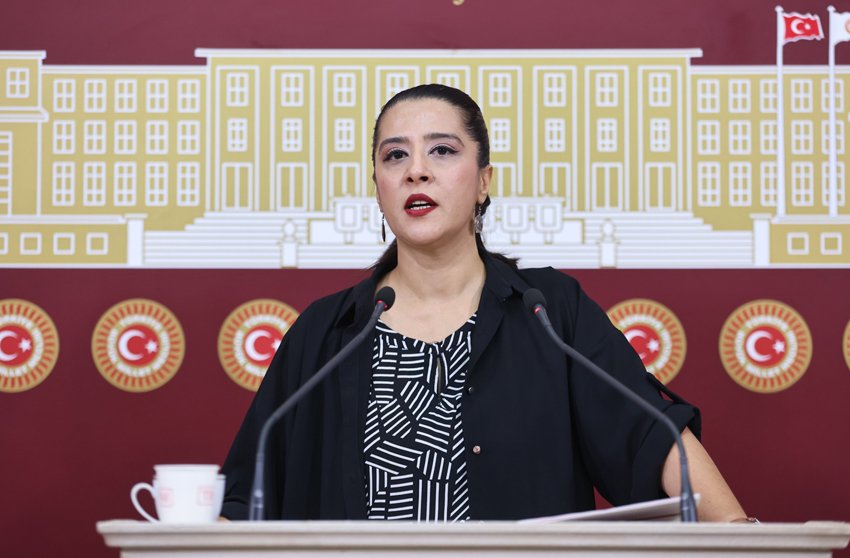 Emek Partisi (EMEP) Gaziantep Milletvekili Sevda Karaca, LGS şaibesi ile