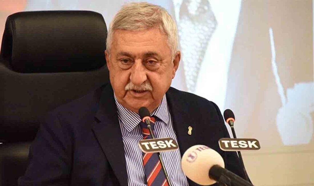 Enerji maliyetlerinin esnaf ve sanatkârlara yük getirdiğini vurgulayan TESK Genel