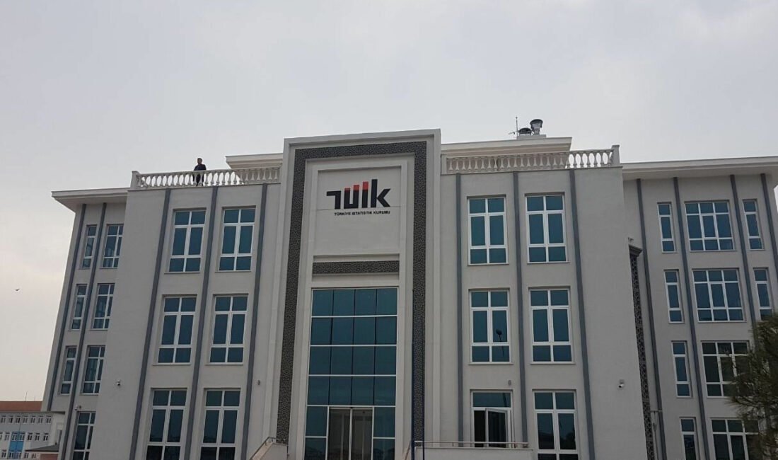 Türkiye İstatistik Kurumu (TÜİK), Tavuk eti üretimi 241 bin 782