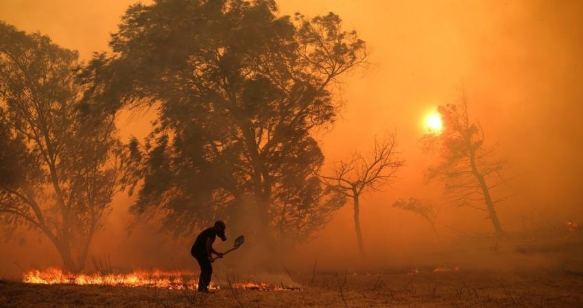 26 Temmuz'da Türkiye genelinde aynı anda 84 farklı noktada orman