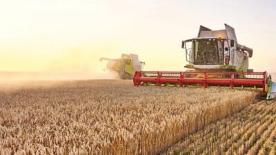 Türkiye İstatistik Kurumu (TÜİK), genel tarım sayımına başladı. Bu kapsamdaki