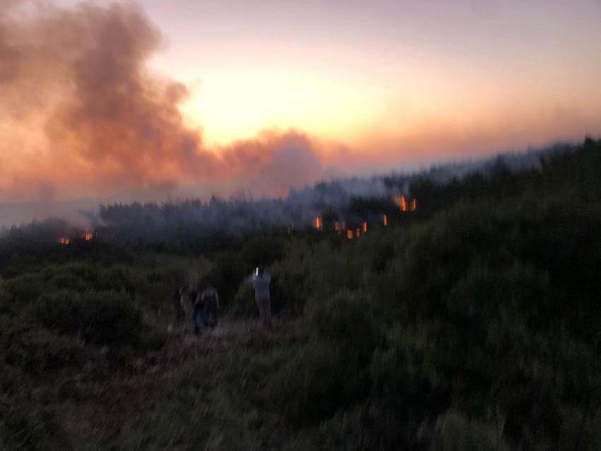 İzmir’in Urla ilçesinde ormanlık alanda başlayan ve rüzgârın da etkisiyle