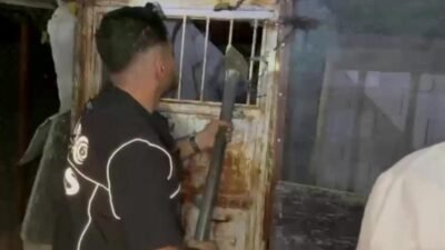 Adıyaman İl Emniyet Müdürlüğü Narkotik Suçlarla Mücadele ve İstihbarat Şube