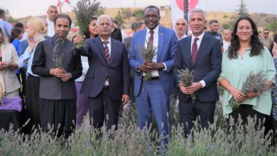 Keçiören Belediyesi, Ovacık Mahallesi’nde yer alan Lavanta ve Gül Bahçesi’nde