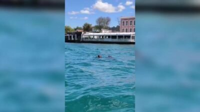 Türkiye Milli Olimpiyat Komitesi (TMOK) tarafından bu yıl 37'ncisi düzenlenen