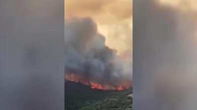 Bursa'nın Yenişehir ilçesi Marmaracık Mahallesi'nde orman yangını çıktı. Yangını kontrol