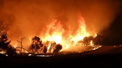 Çanakkale'de yaşanan 3 ayrı yangında AFAD Başkanlığı tarafından gönderilen ödenek