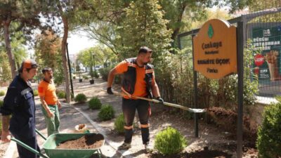 Çankaya Belediyesi, ilçe genelindeki parklarda bakım ve onarım faaliyetlerini sürdürüyor.