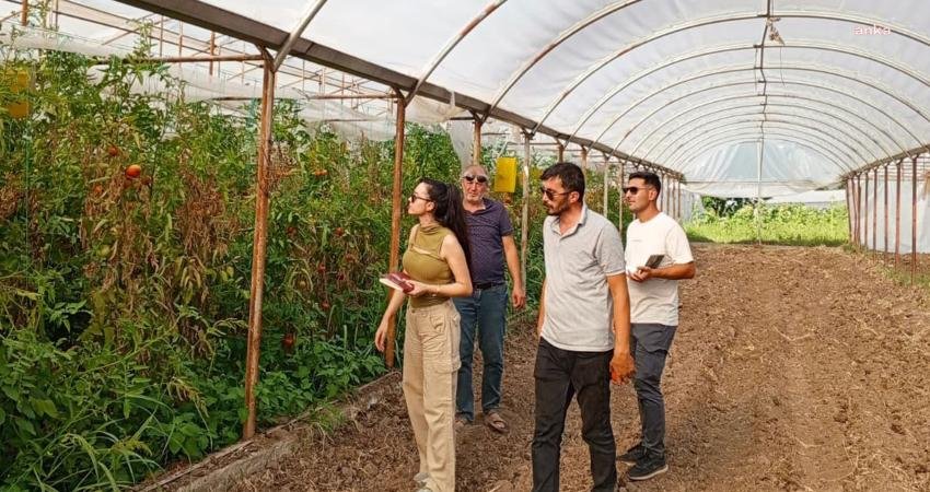 Çankaya Belediyesi, vatandaşların güvenilir ve sağlıklı ürünlere ulaşabilmesi için Ayrancı