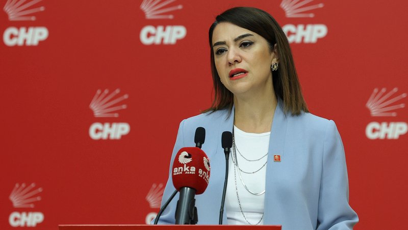 CHP Genel Başkan Yardımcısı ve Emek Büroları Koordinatörü Gamze Taşcıer,