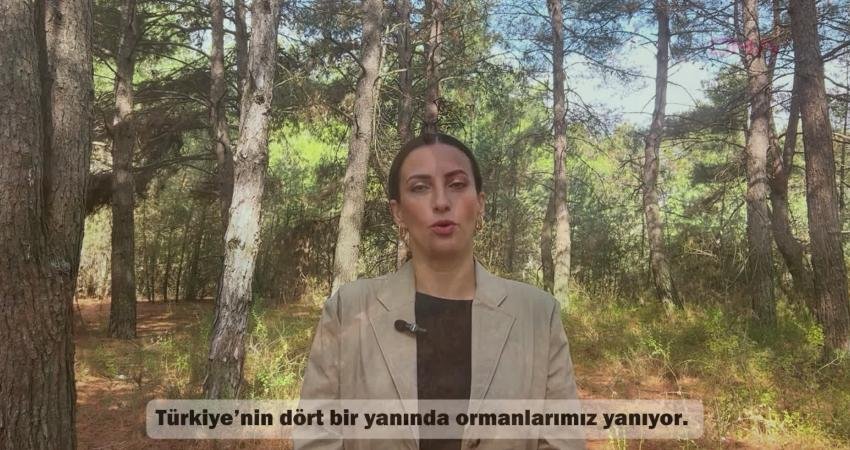 CHP İstanbul Milletvekili Evrim Rızvanoğlu, orman yangınlarının ve iklim krizinin