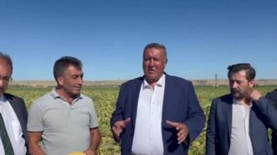 CHP Niğde Milletvekili Ömer Fethi Gürer, kabak çekirdeği üreticileriyle tarlada bir araya